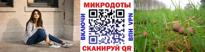 как найти   Поворино  Галлюциногенные грибы Magic Shrooms 